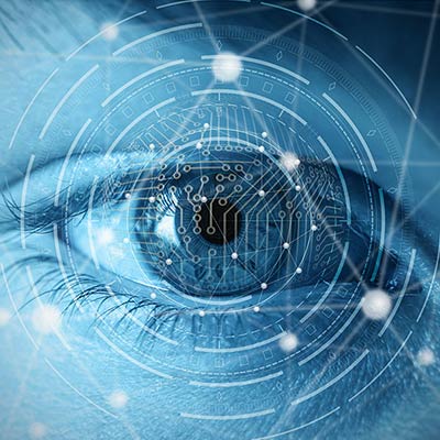 Our Vision